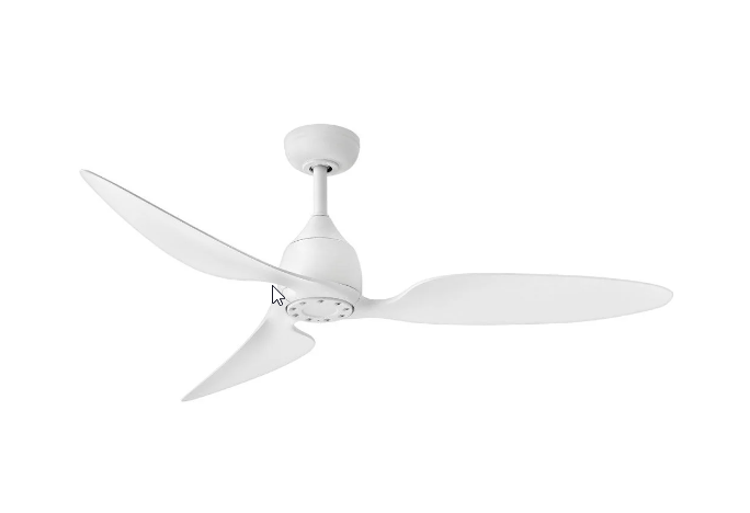 Azura Fan