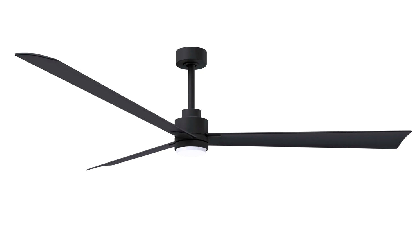 Alessandra Fan w/ Light Kit