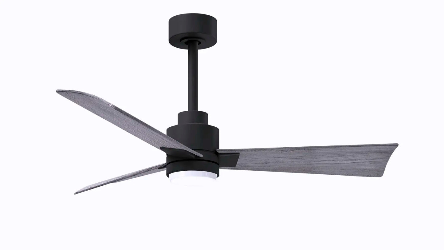 Alessandra Fan w/ Light Kit