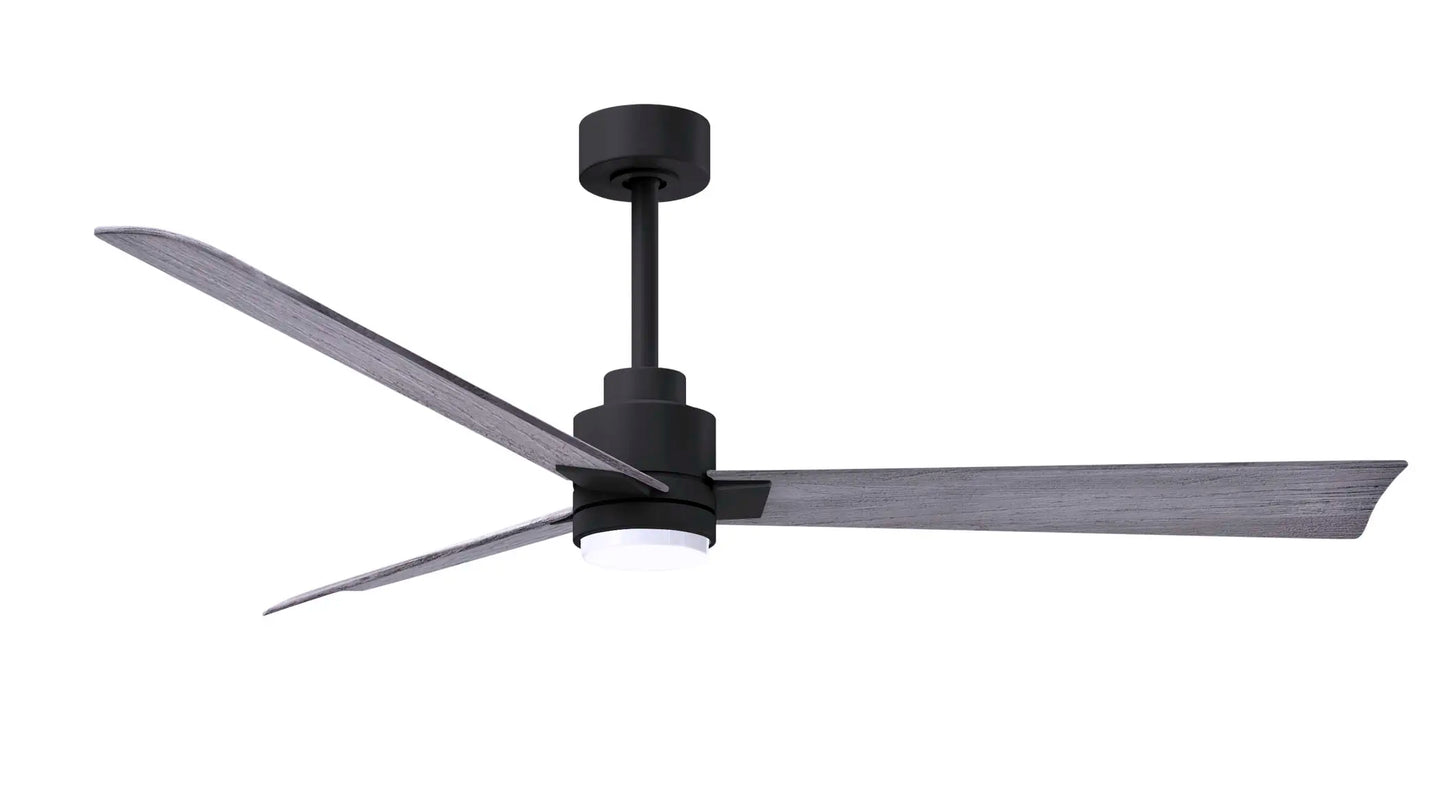 Alessandra Fan w/ Light Kit