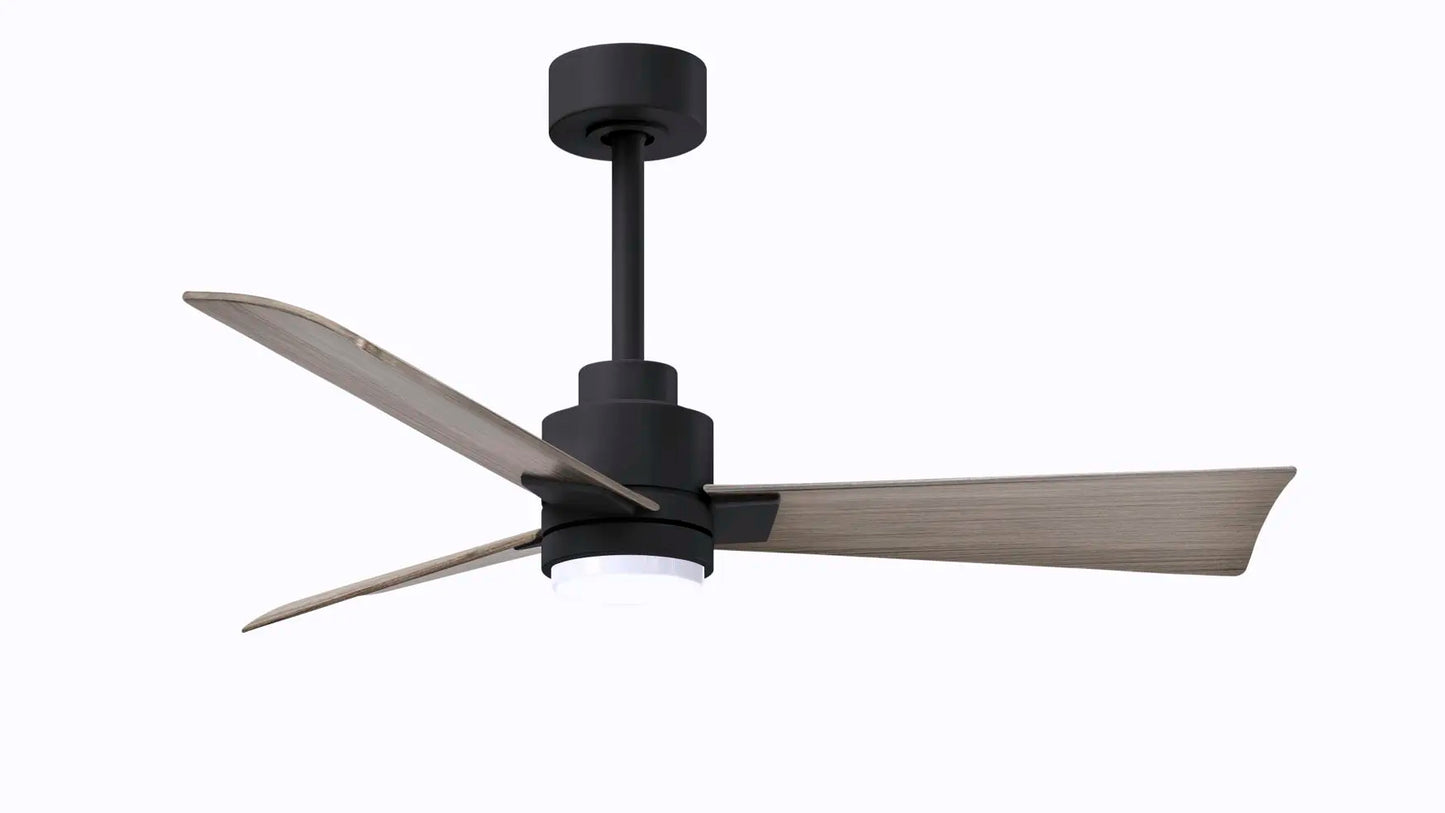 Alessandra Fan w/ Light Kit