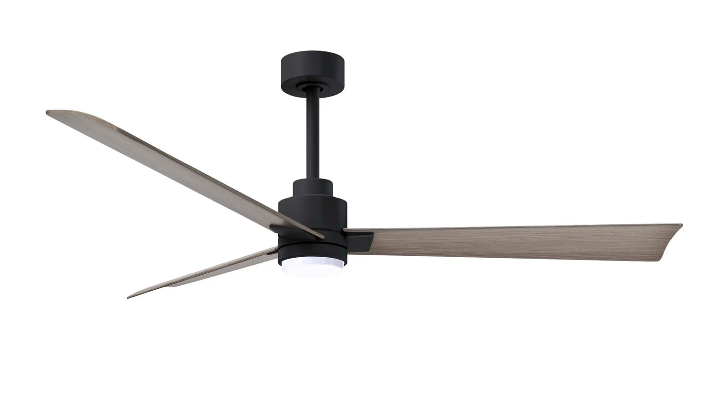 Alessandra Fan w/ Light Kit