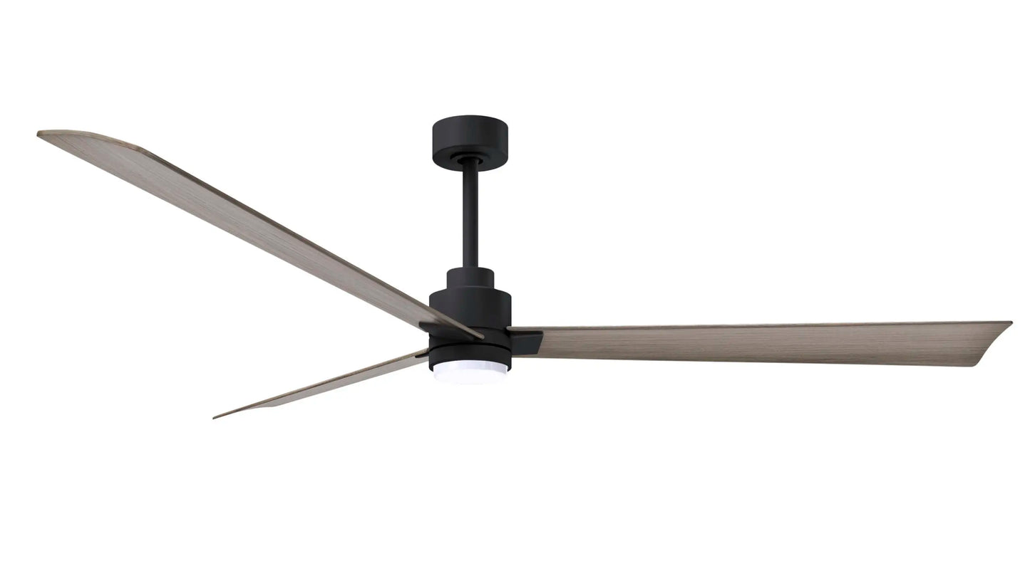 Alessandra Fan w/ Light Kit