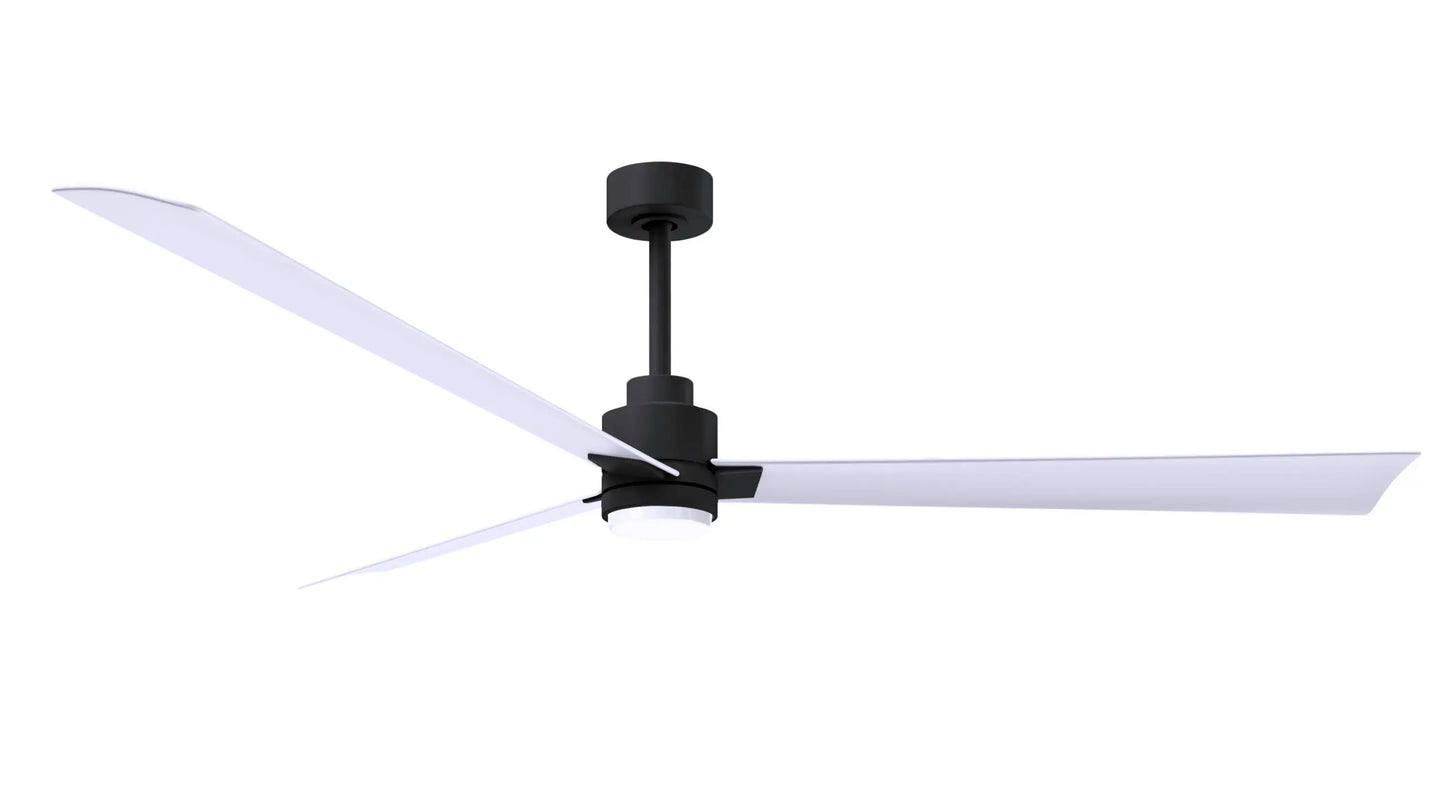 Alessandra Fan w/ Light Kit