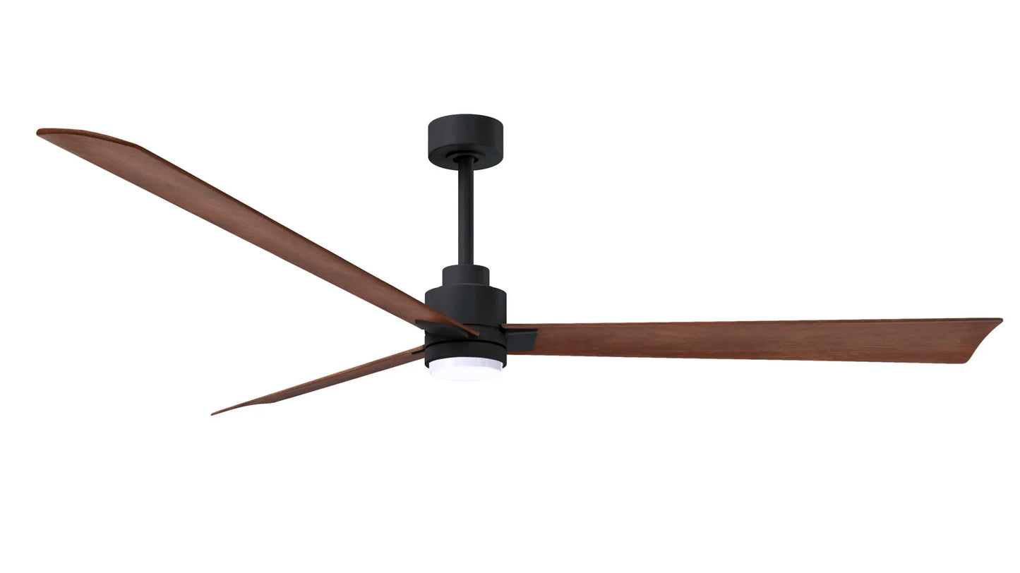 Alessandra Fan w/ Light Kit