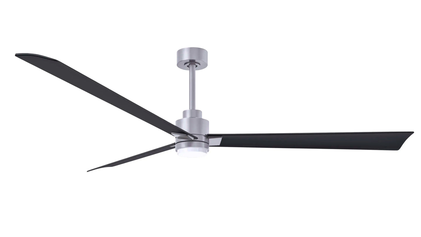 Alessandra Fan w/ Light Kit