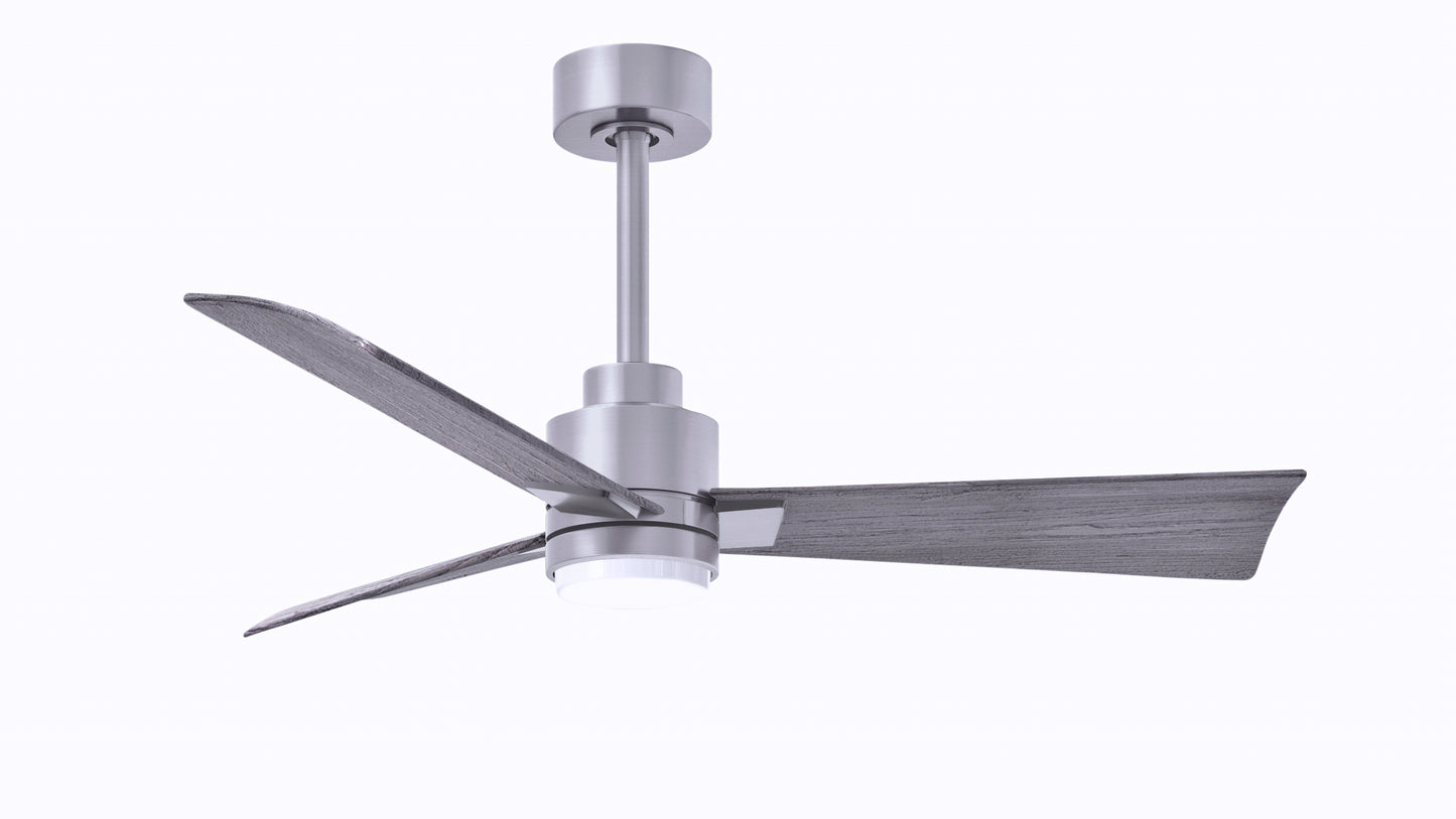 Alessandra Fan w/ Light Kit