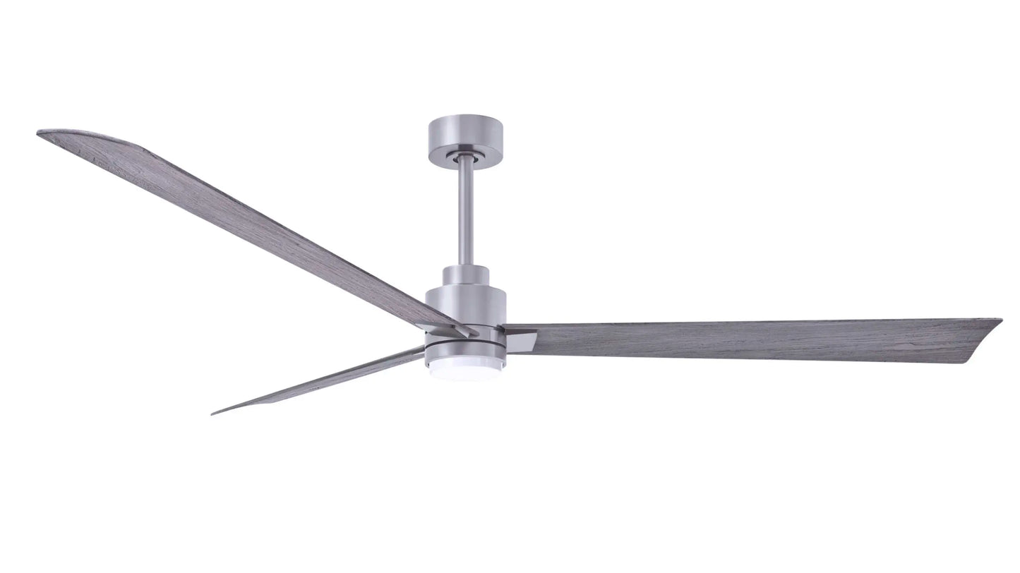 Alessandra Fan w/ Light Kit