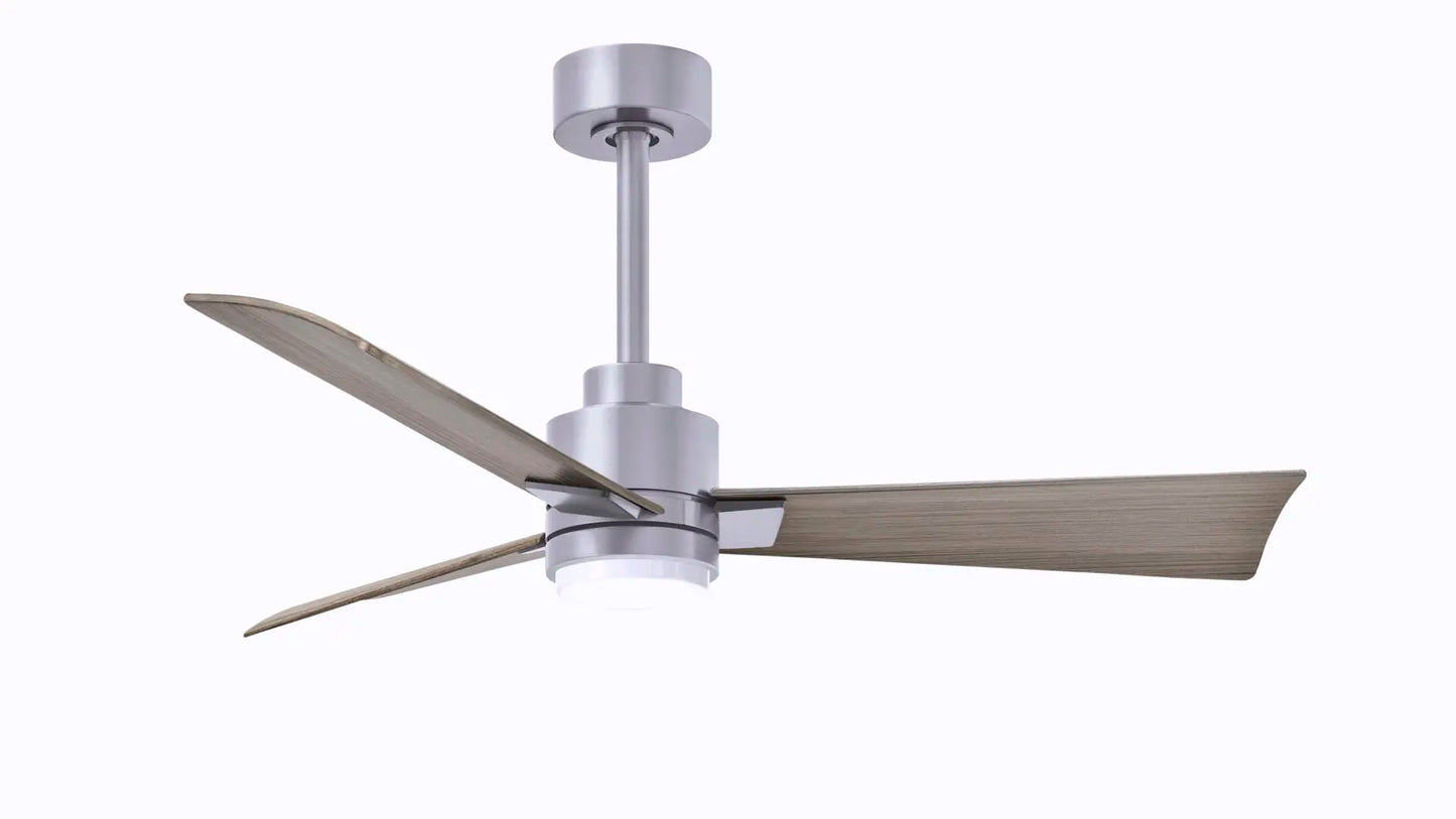 Alessandra Fan w/ Light Kit