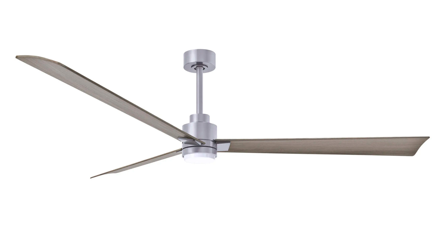 Alessandra Fan w/ Light Kit
