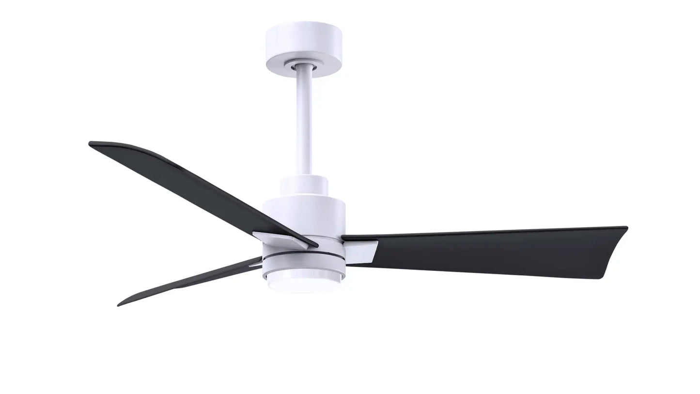 Alessandra Fan w/ Light Kit