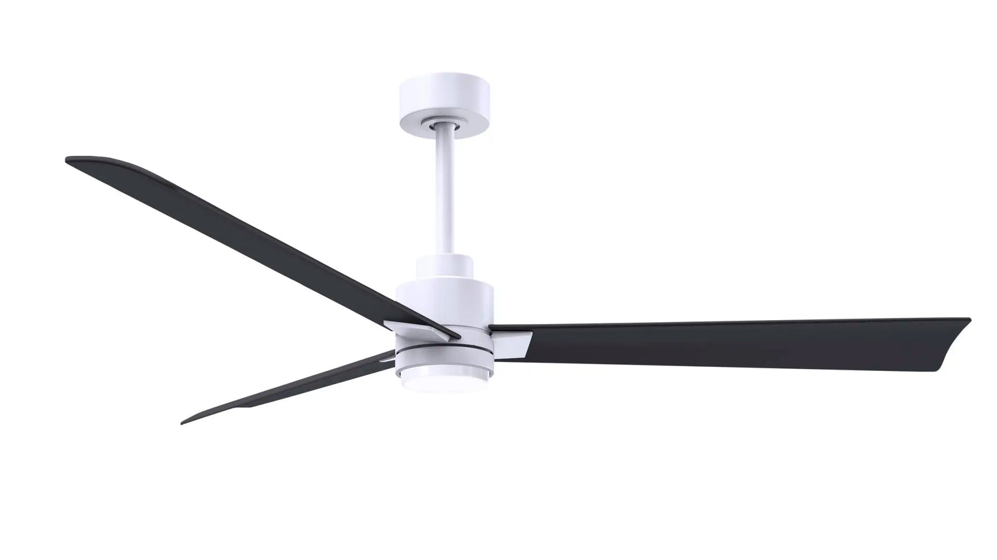 Alessandra Fan w/ Light Kit