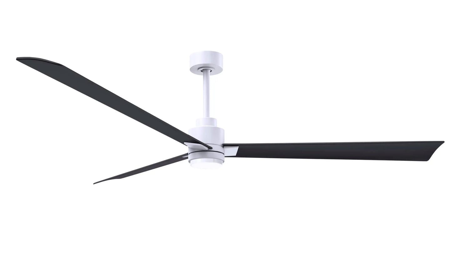 Alessandra Fan w/ Light Kit