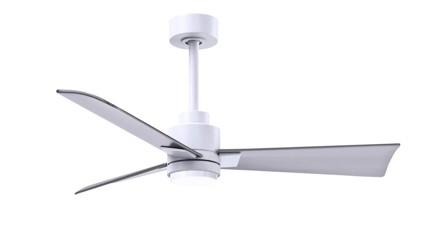 Alessandra Fan w/ Light Kit