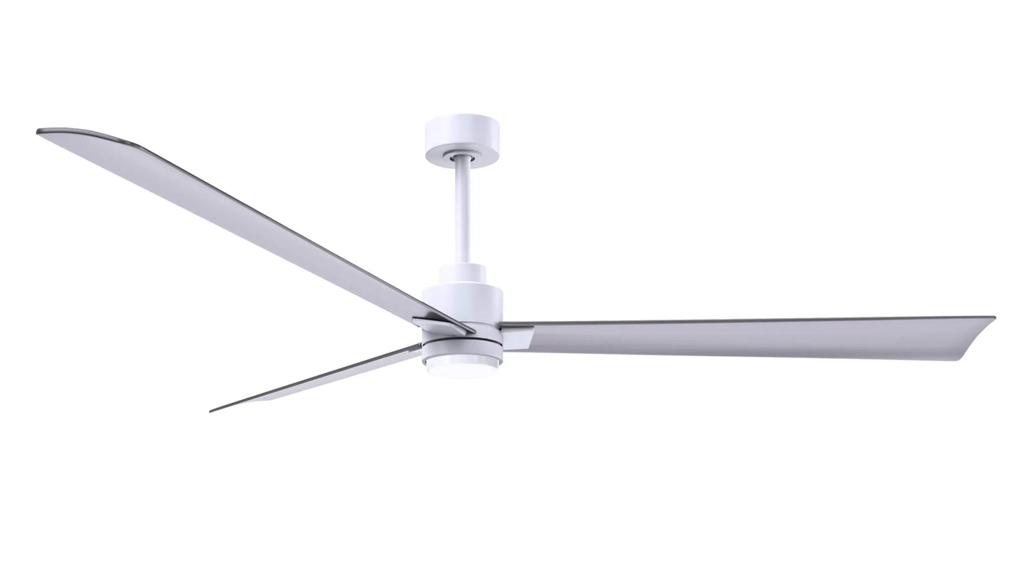 Alessandra Fan w/ Light Kit