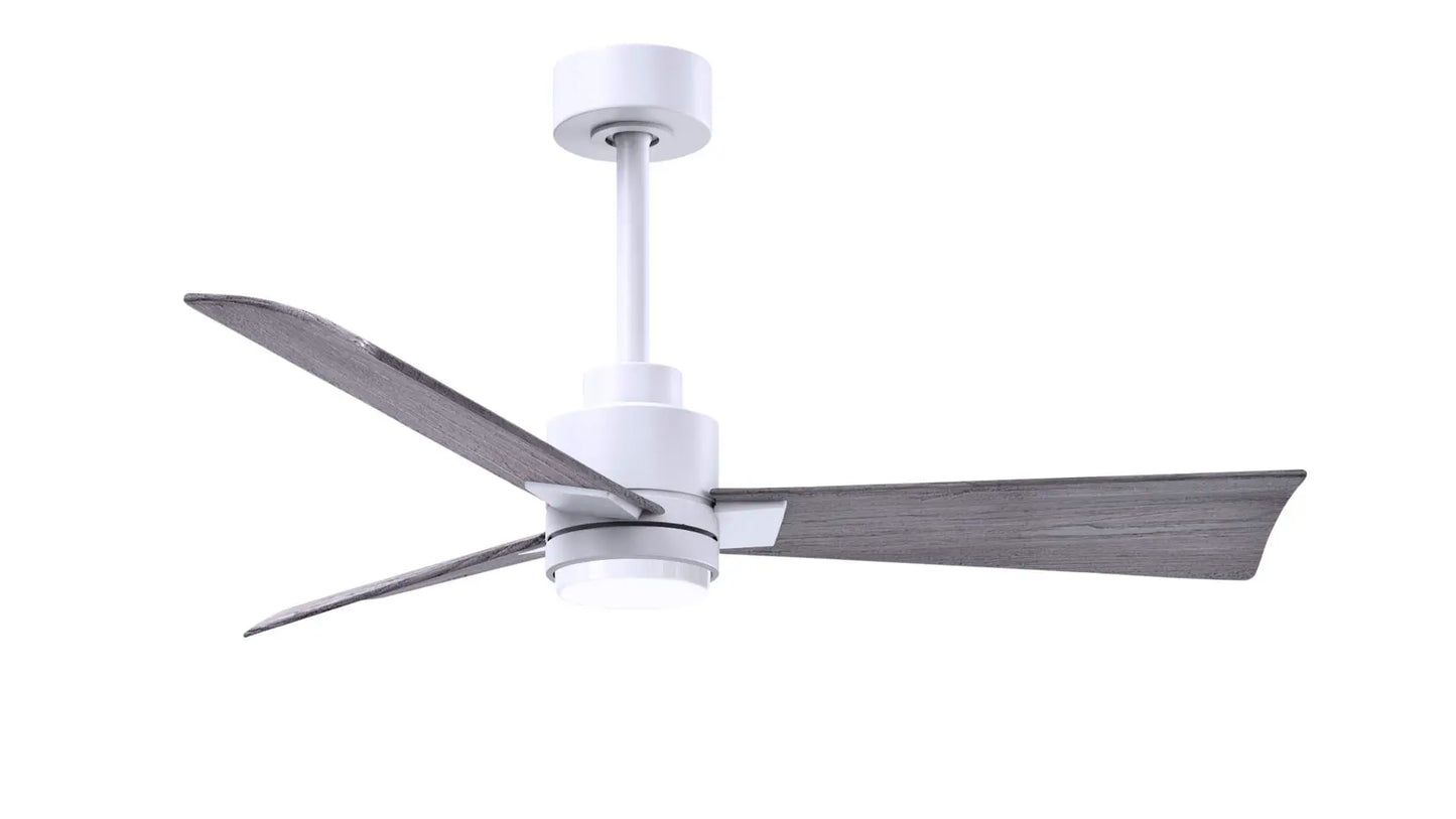 Alessandra Fan w/ Light Kit