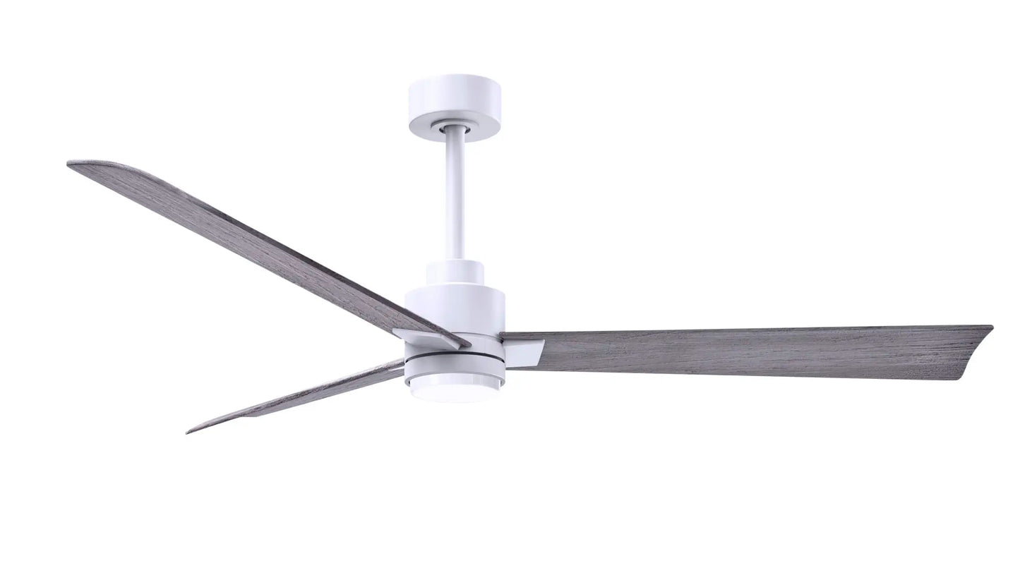 Alessandra Fan w/ Light Kit