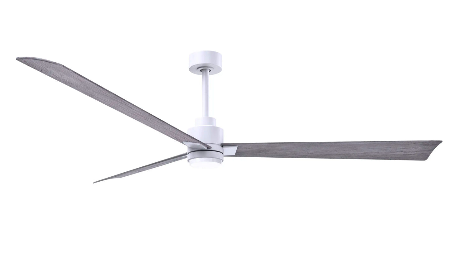 Alessandra Fan w/ Light Kit