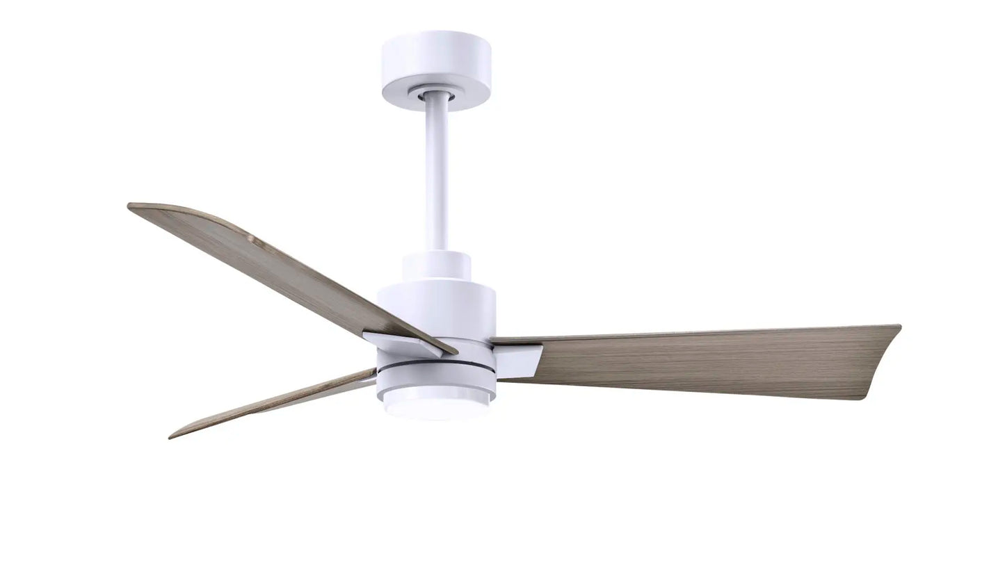 Alessandra Fan w/ Light Kit