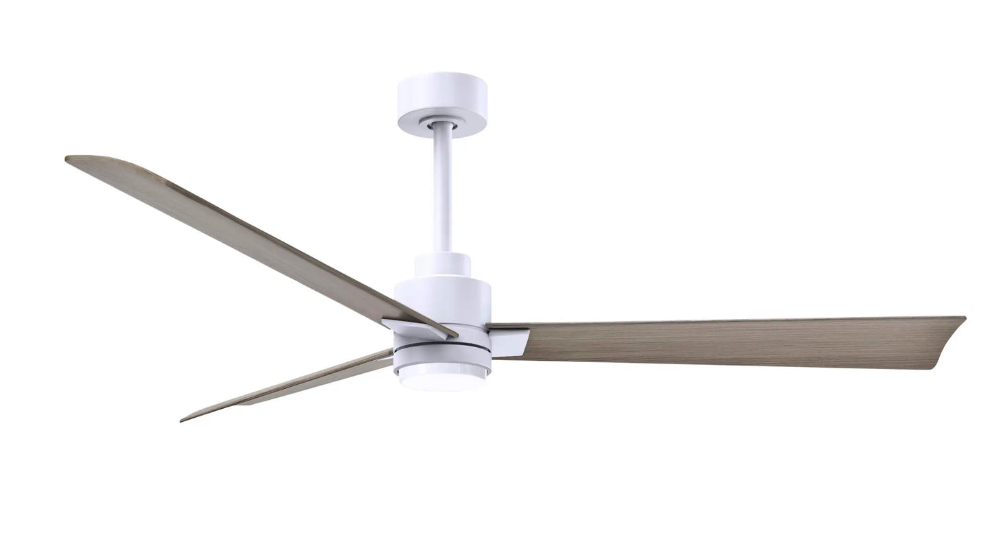 Alessandra Fan w/ Light Kit