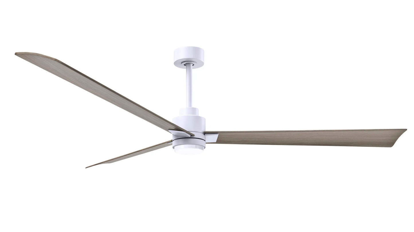Alessandra Fan w/ Light Kit