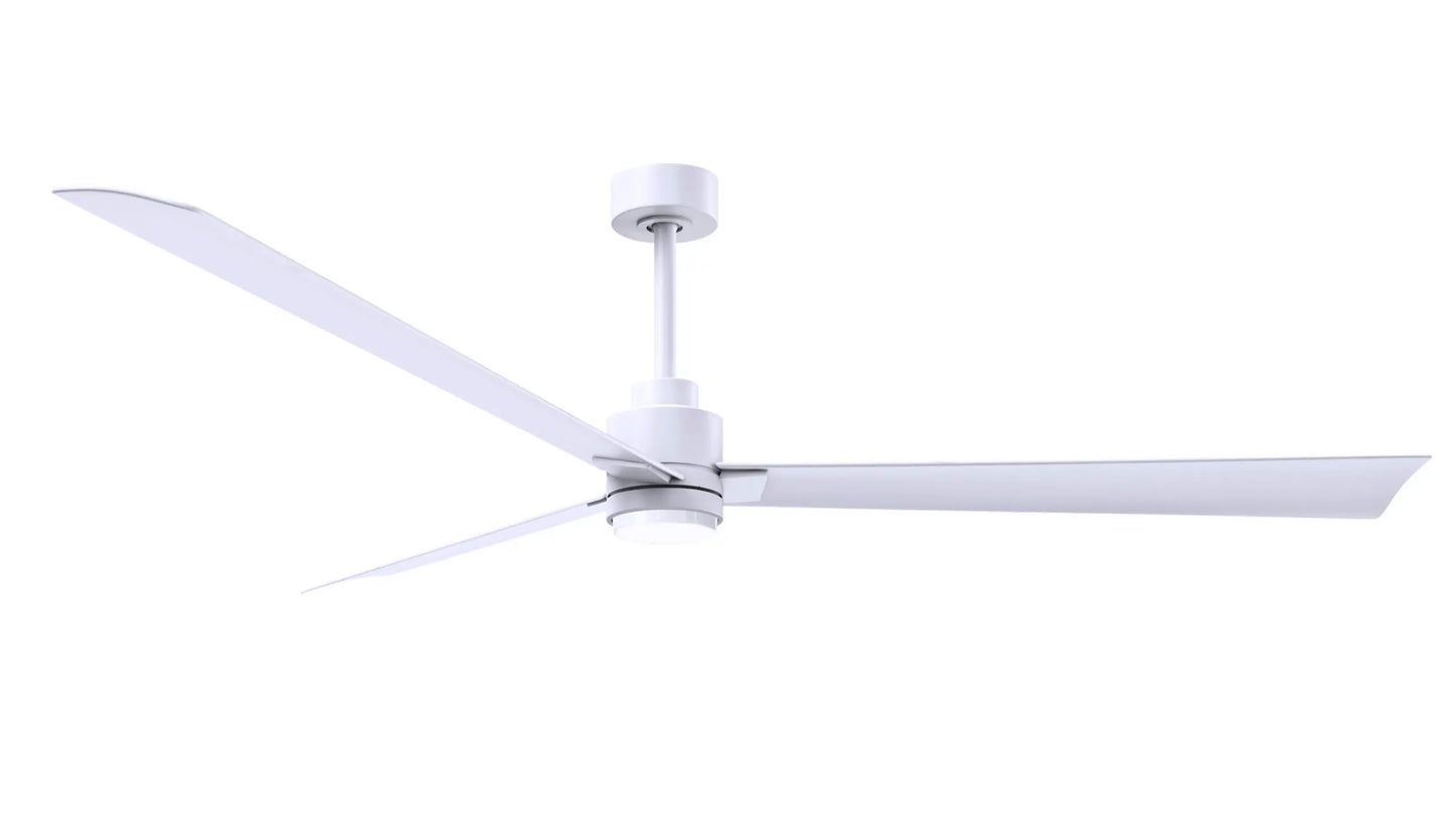 Alessandra Fan w/ Light Kit