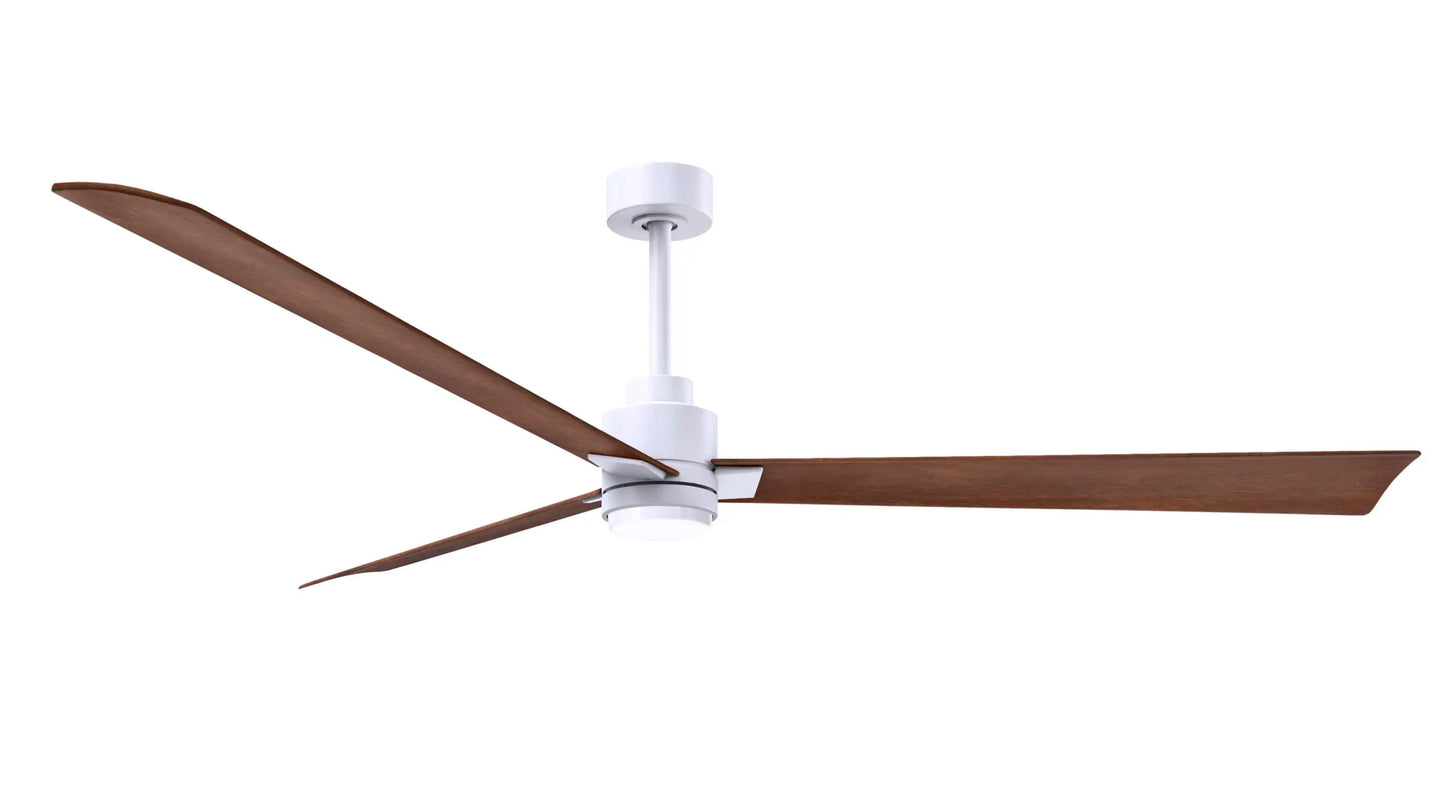 Alessandra Fan w/ Light Kit