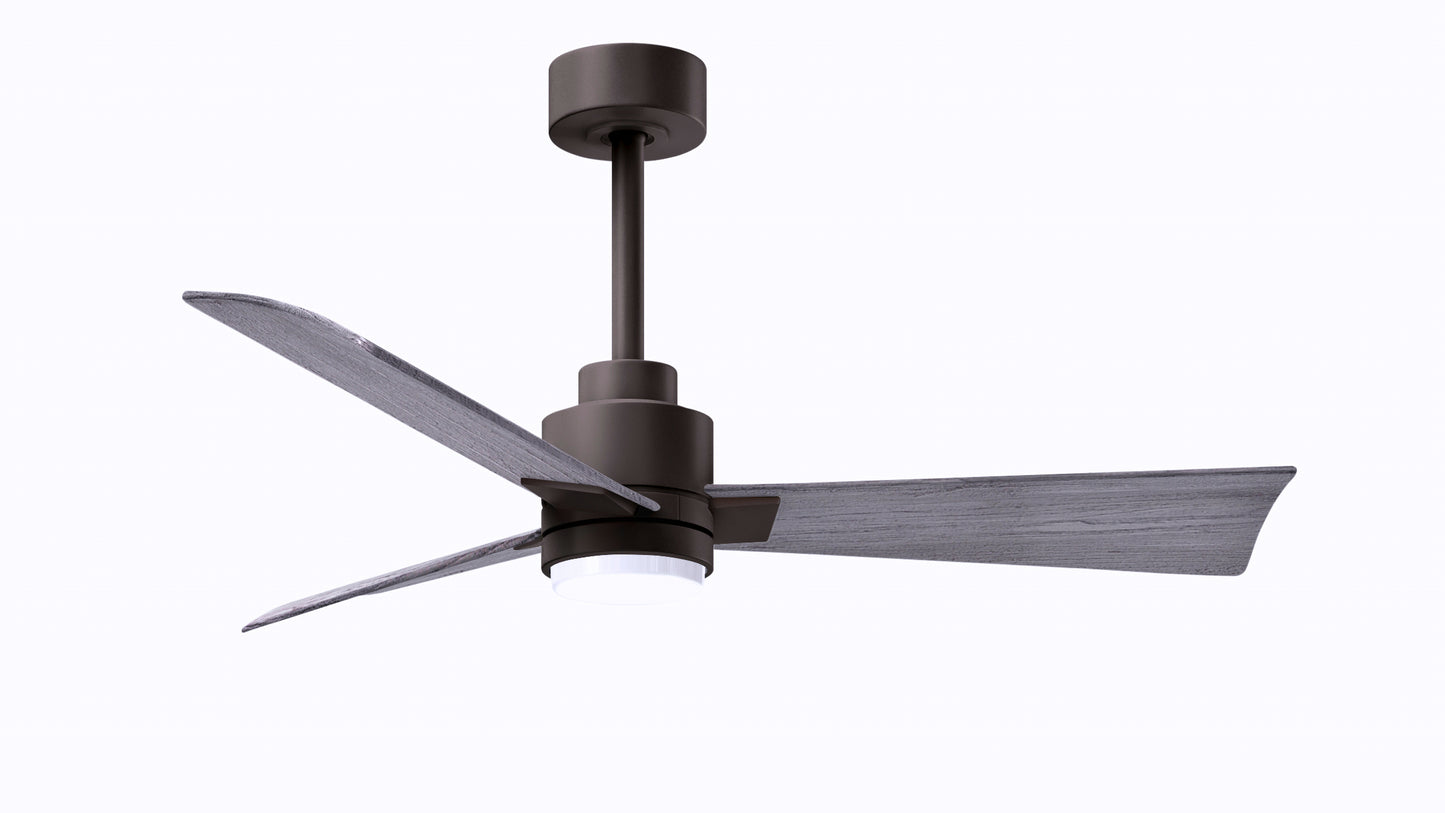Alessandra Fan w/ Light Kit