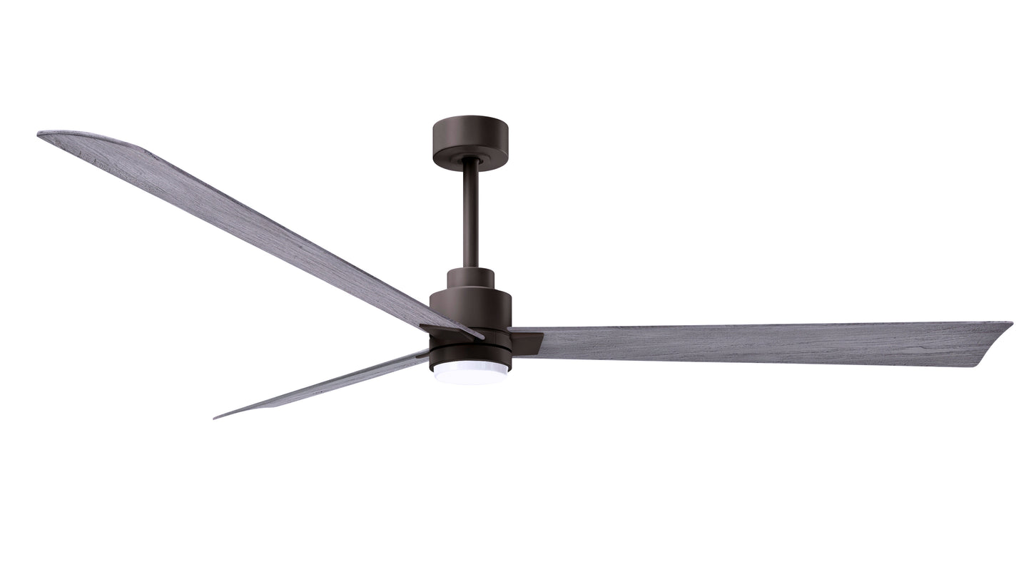 Alessandra Fan w/ Light Kit