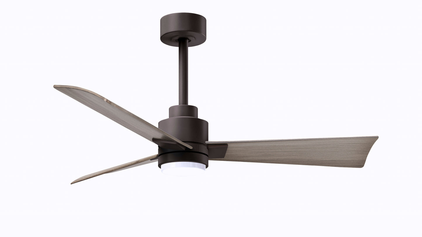 Alessandra Fan w/ Light Kit
