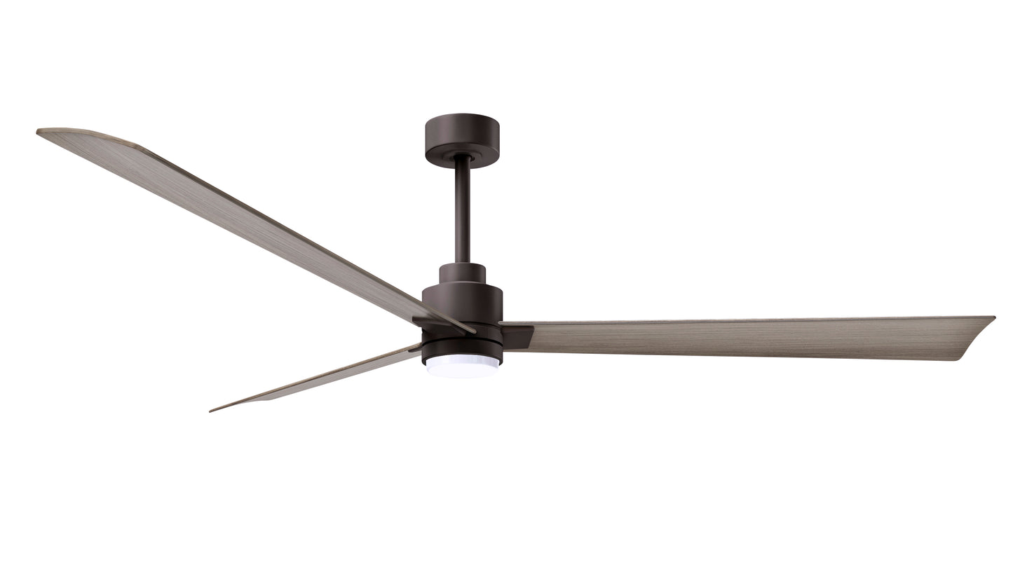 Alessandra Fan w/ Light Kit