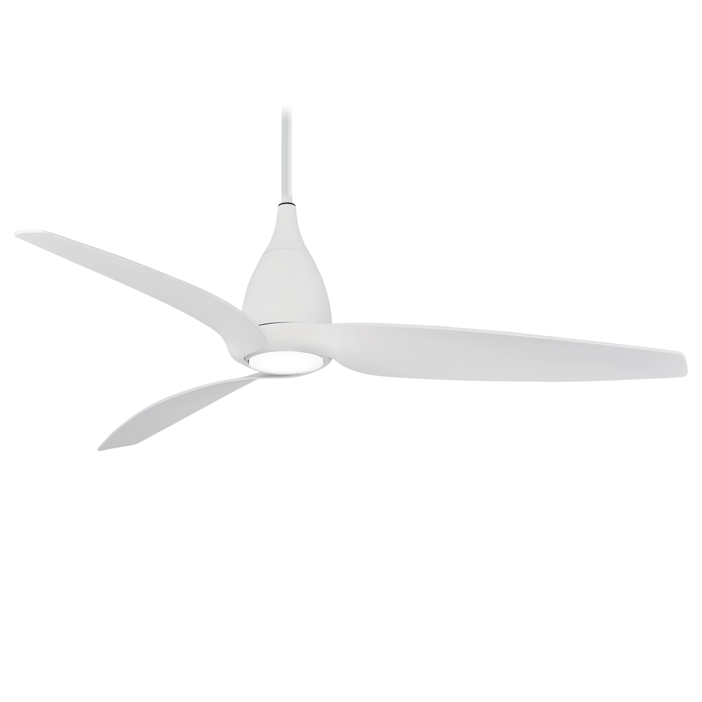 Tear Fan