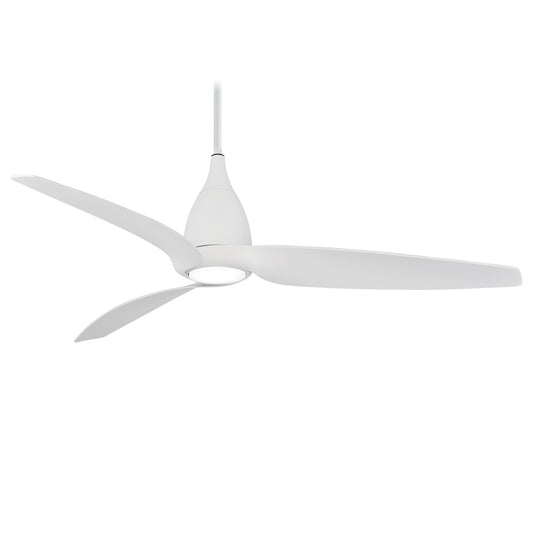 Tear Fan