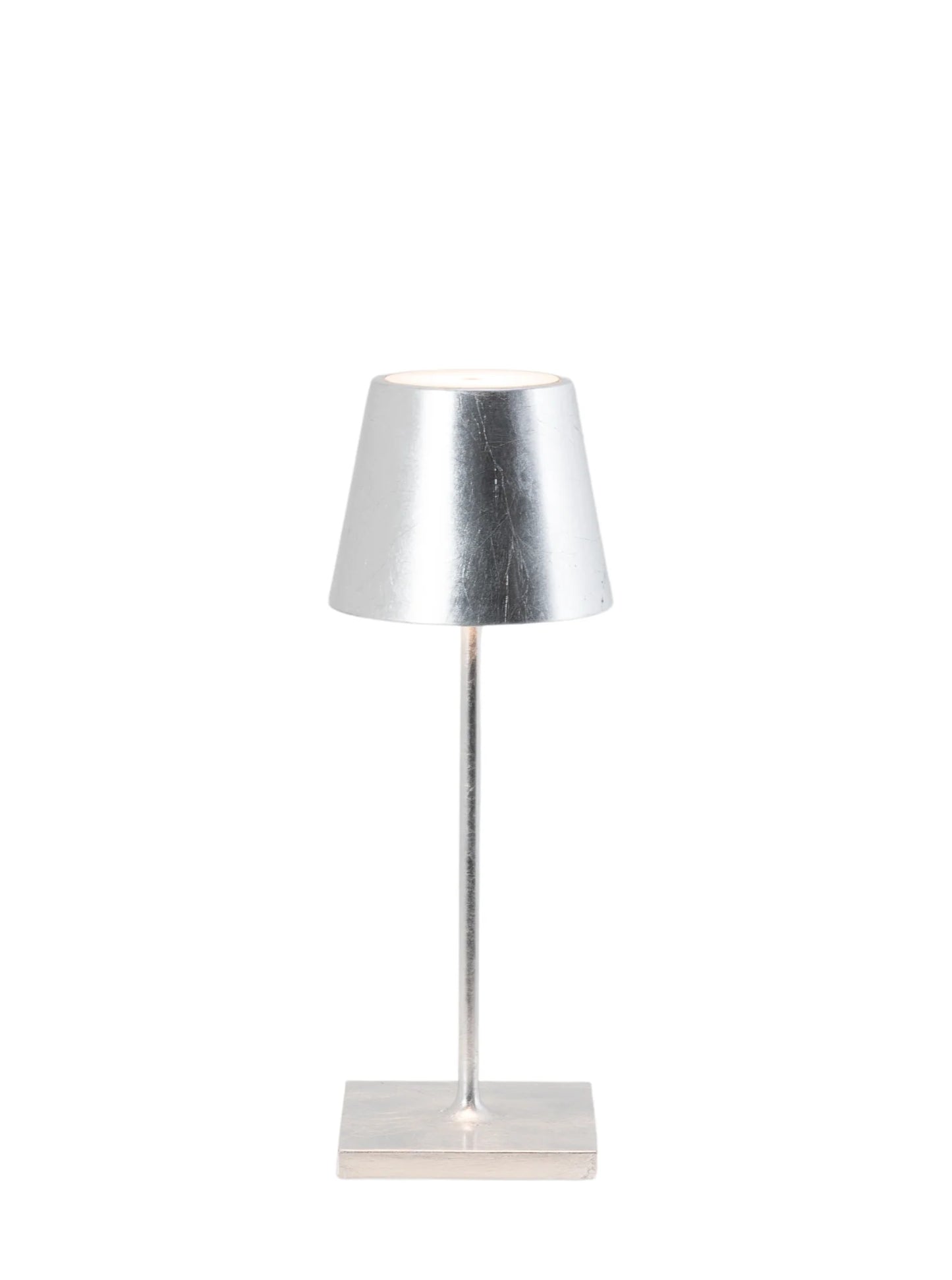 Poldina Pro Mini